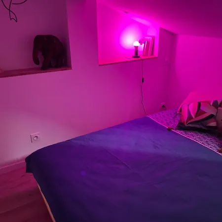 Victor Hugo - Petit Cocon Au Calme - 2eme Etage